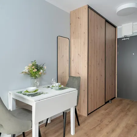 Stylowe Studia Z Tarasem W Poznaniu By Renters