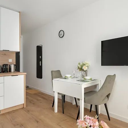 Stylowe Studia Z Tarasem W Poznaniu By Renters * بوزنان