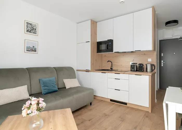 Stylowe Studia Z Tarasem W Poznaniu By Renters Poznań