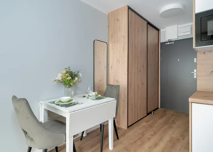 Stylowe Studia Z Tarasem W Poznaniu By Renters