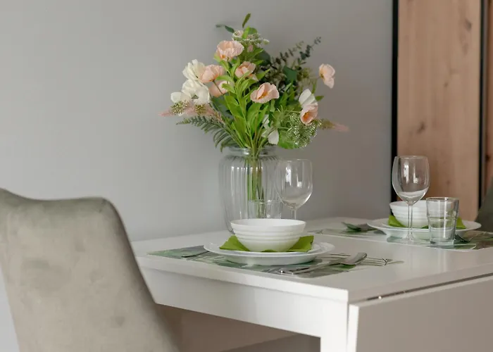 Stylowe Studia Z Tarasem W Poznaniu By Renters *