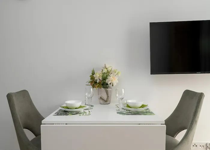 Stylowe Studia Z Tarasem W Poznaniu By Renters