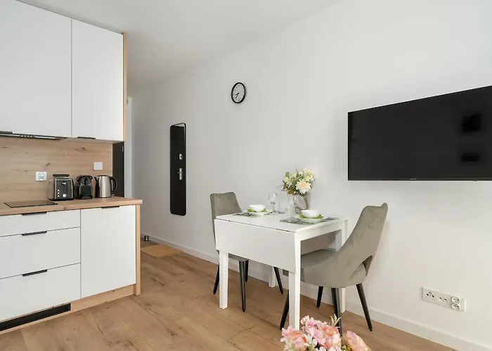 Stylowe Studia Z Tarasem W Poznaniu By Renters * Poznań